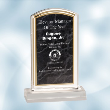 Black Marbleized Acrylic Award