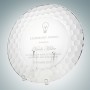 Honeycomb Glass Charger Plate wi