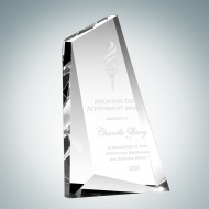 Momentus Award