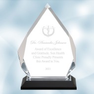 Silver Diamond Impress Acrylic Award 