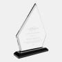 Revive Acrylic Peak Award