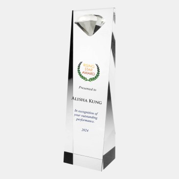 Color Imprinted Embedded Diamond Crystal Award