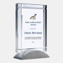 Color Imprinted Deco Award (Aluminum Base)