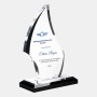 Color Imprinted Acrylic Flare Award with Black Base