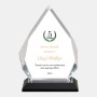 Color Imprinted Silver Diamond Impress Acrylic Award