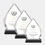 Color Imprinted Silver Diamond Impress Acrylic Award