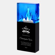 Ice Cap Award with Black Base 