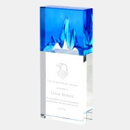 Ice Cap Award with Clear Base